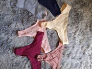 6 Tangas String verschiedene Farben Neu - Aachen