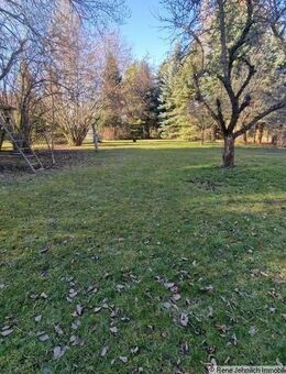 Schönes Haus in Kändler mit traumhaften Grundstück und viel Potenzial - Limbach-Oberfrohna