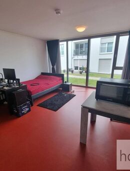 Trier-Tarforst: Lichtdurchflutetes Appartement mit 28,38 m² WFL nähe Universität - Trier
