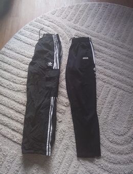 Herren sporthose M - Mannheim Zentrum