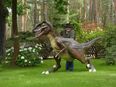 Sie sind auf der suchen nach 3D Dinosaurier Modelle ? in 15754