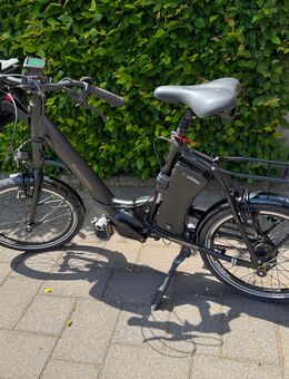 Prophete E-Bike Alu-Kompaktrad 20 Zoll Caravan Edition - Hückelhoven