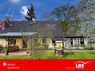 Naturliebhaber aufgepasst! - Fincken