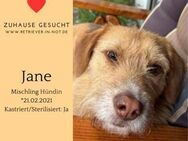 Jane sucht endlich ihr Glück - Lippetal