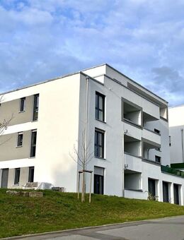 Neubau! Bezugsfertige Eigentumswohnung Drosselweg 2 in Weikersheim - Weikersheim