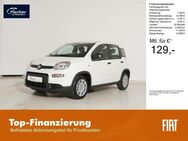 Fiat Panda, 1.0 GSE Hybrid, Jahr 2024 - Pilsach