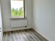 +++Wunderschöne 3 Zimmer Wohnung für Ihre Familie+++ - Schöneck (Vogtland)