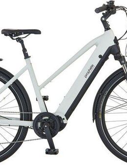 Prophete E-Bike Trekkingrad Entdecker 5.0, 10 Gang Shimano Deore Schaltwerk, Kettenschaltung, Mittelmotor, 720 Wh