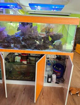 Meerwasser-Aquarium-Set komplett - Sigmaringendorf