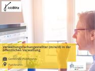 Verwaltungsfachangestellter (m/w/d) in der öffentlichen Verwaltung - Putzbrunn