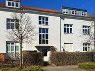 Pfingst-Überraschung an der Dölauer Heide! - Halle (Saale)