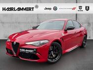 Alfa Romeo Giulia, 2.9 Quadrifoglio V6, Jahr 2023 - Hasbergen