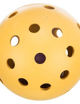 Trixie Ball für sehbehinderte Hunde - Ø 7 cm