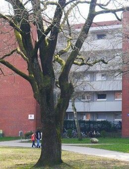 Etwas besonderes: weitläufige 3-Zimmer-Wohnung - Lüneburg
