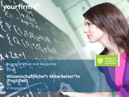 Wissenschaftliche*r Mitarbeiter*in (Post-Doc) - Wuppertal