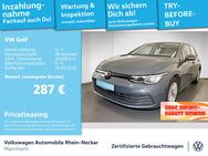 VW Golf, 2.0 TDI VIII Life, Jahr 2024 - Mannheim