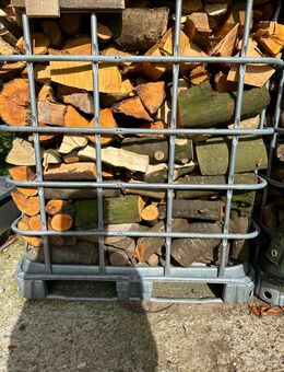 Brennholz / Holz in 53797 von privat - Lohmar