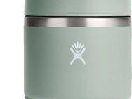 Hydro Flask Lunchbox 20 oz Insulated Food Jar, Edelstahl 18/8, (1-tlg), TempShield™ doppelwandige Vakuumisolierung, 591 ml