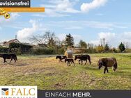 *Schönes Grundstück in Elbnähe, kurzfristig bebau- und teilbar!* - Tangerhütte Uchtdorf
