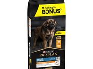2 kg / 2,5 kg gratis! 14 kg / 16,5 kg PURINA PRO PLAN - Large Robust Adult Everyday Nutrition 16,5 kg