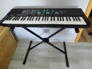 Keyboard groß mit Anleitung und Musikbuch / Hefte - Unna