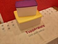 2 Tupperware Gefrier Behälter - Büdingen