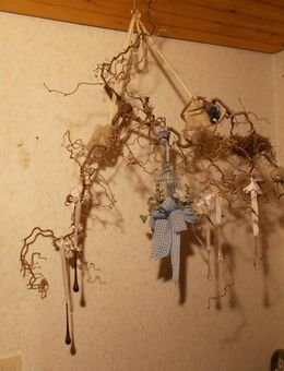Korkenzieher- Hasel-Astwerk 26 € - Gummersbach