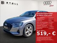 Audi e-tron, 50 quattro CCS, Jahr 2021 - Binzen