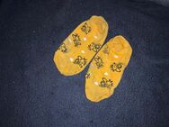 Getragene Socken, ungewaschen - Erfurt