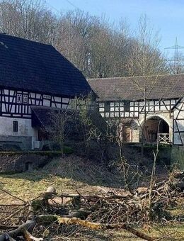 Denkmalgeschützte historische Getreide- und Sägemühle auf ca. 70.000 m² idyllischem Grundstück in Alleinlage bei Weida/ Ostthüringen - Harth-Pöllnitz