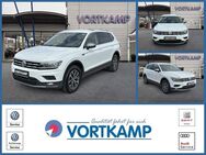 VW Tiguan, Allspace Comfortline TDI Active Light, Jahr 2019 - Gronau (Westfalen)