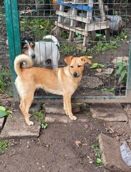 Ashley - Neubrunn (Bayern)