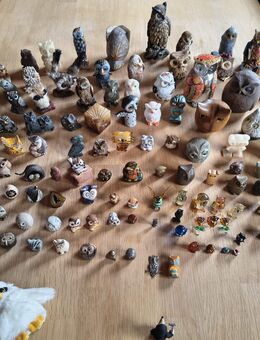 Eulensammlung - Brunsbüttel