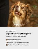 Stelle als Digital Marketing Manager*in in 6340