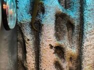 2 Jahre alter Madagaskar Goldstaubtaggecko sucht ein neues Zuhause - Homburg Zentrum