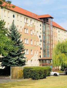 Seniorengerechte 2-Raum Wohnung in ruhiger Lage - Sandersdorf Sandersdorf