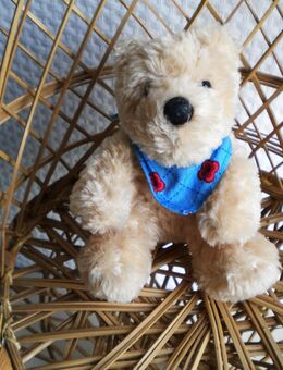 Nici-Plüsch-Teddybär,ca. 10 cm - Linnich