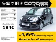 Fiat Panda, 1.0 Mild Hybrid, Jahr 2024 - Stade (Hansestadt)