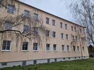 Helle, freundliche, frisch renovierte drei Zimmer Wohnung in Cracau! - Magdeburg