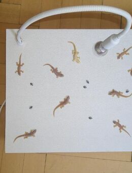 Wandlampe - Dekolampe - Asialampe - Geckolampe - Lindenberg (Allgäu)
