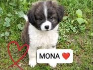 🩷 Mona 🩷 - Markkleeberg