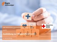 Ausbildung zur Pflegehilfe (m/w/d) - Wittenberg (Lutherstadt)