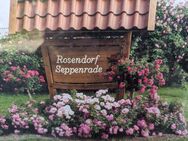 Lüdinghausen-Seppenrade - Nähe ROSENGARTEN !!! ZWEI-Familienwohnhaus - Lüdinghausen