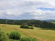 Ihr eigener Rückzugsort fernab von jeglicher Hektik und trotzdem mitten im Dorf !!! - Winterberg