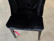 Designer Stuhl von Kartell Np. 1044 Euro - Celle