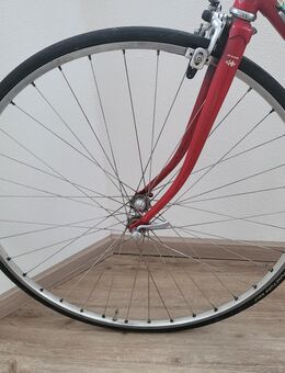 2 Stück Continental Super Sport Plus 25-622, Slick-Profil-Rennrad-Reifen, keine 100 km gefahren - Unterleinleiter