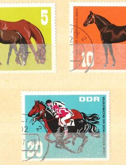 DDR Briefmarken Pferde (426) - Hamburg