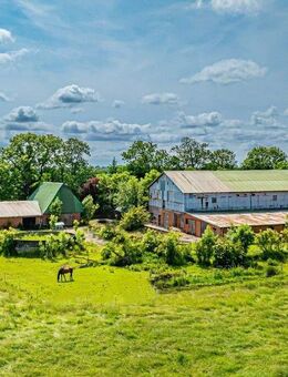Resthof bei Wilster - Viel Platz für Mensch und Tier - Neuendorf-Sachsenbande