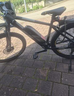 Zündapp Prophet E-Bike 28zoll - Horb (Neckar)