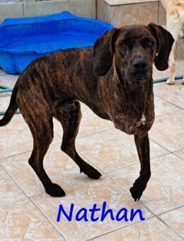 Nathan - charmanter Schatz! 01/2022 GRC - Ruppertsecken